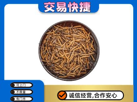儋州高价回收散虫草