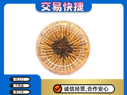 儋州回收虫草礼盒